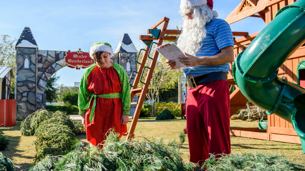 Santa Claus Shipment of Christmas Trees to Winter Wonderland