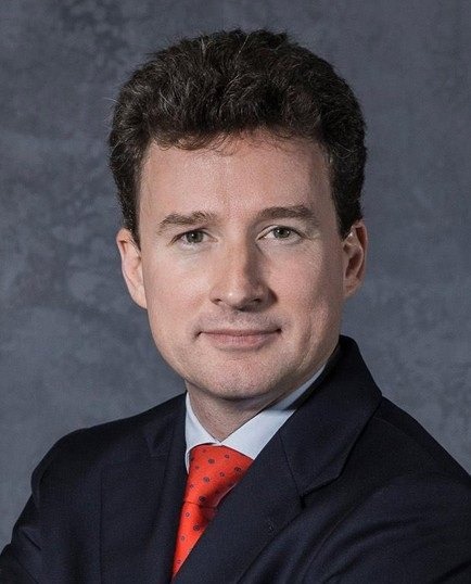 Nicola Bedin Covid Index